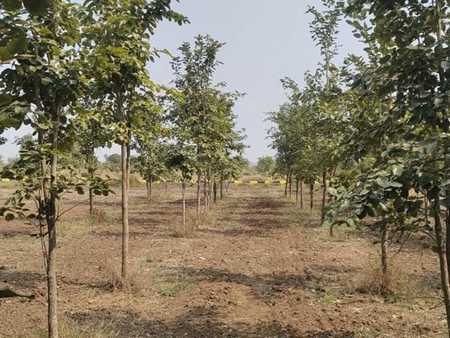 Siri Mahagiri Farms And Resorts 150 Sq. Yd. Plot in Rajapeta Yadagirigutta Listing ID: #9832