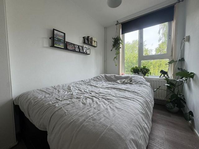 Siriusstraat 41