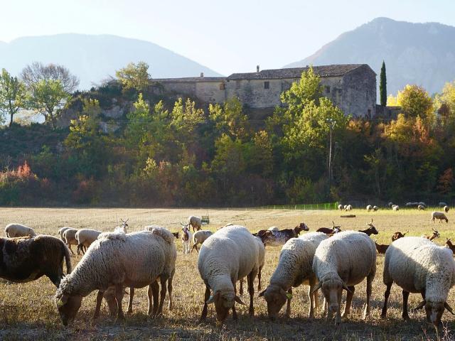 Sisteron Vente Maison 04