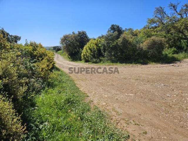 Situado em Pintéus/Loures Terreno rústico com 320 m2 Excelente investimento