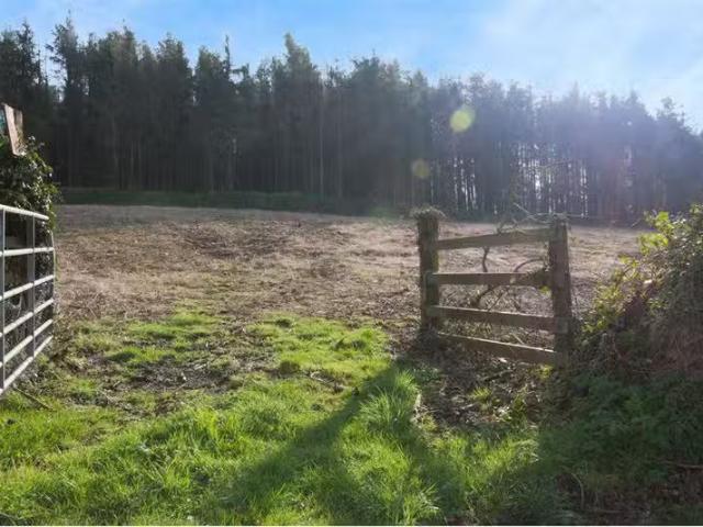 Site at Banogue Hill, Gorey, Wexford