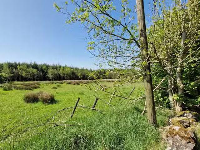 SITE B. Ballygraney, Ballymacward, Ballinasloe, Co. Galway