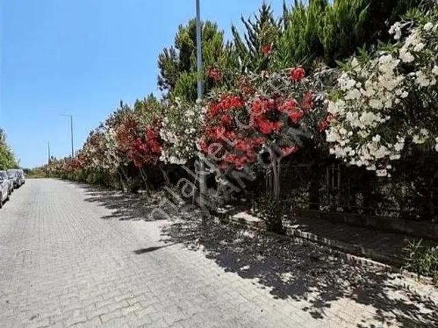 Site İcerısnde Havuzlu
