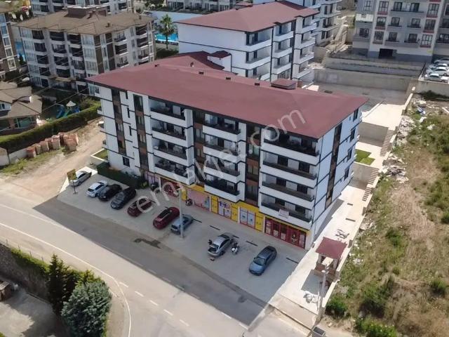 Site İçi Yaşam