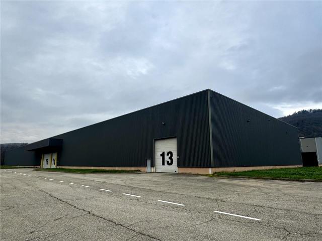 Site industriel à vendre Givors Proche A47 et A7