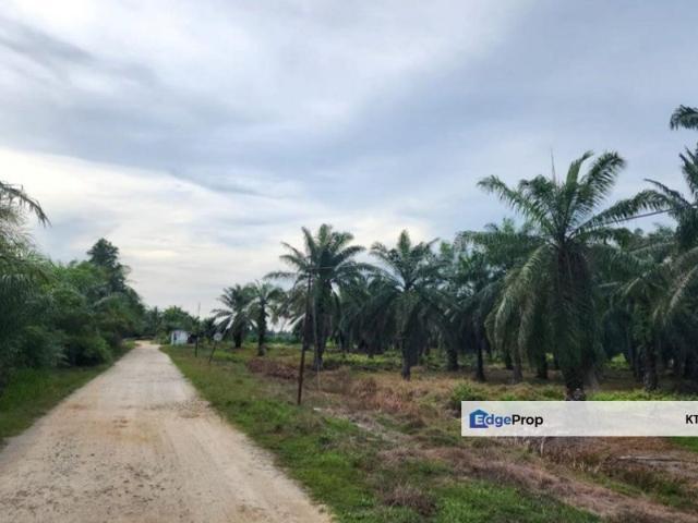 Sitiawan