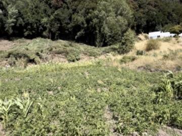 Sitio en Venta en Camino Arauco a LLico