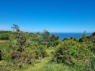 Sitio en Venta en Coliumo, Los Morros, Punta Talca