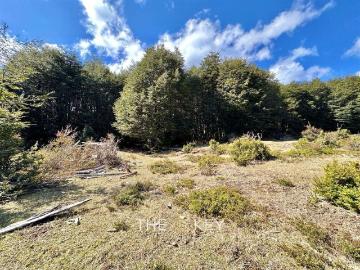 Sitio en Venta en Coñaripe Termas Geometricas