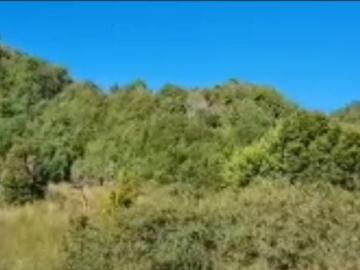 Sitio en Venta en Isla Laitec