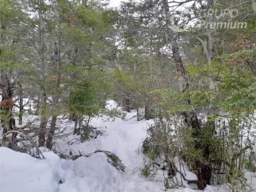Sitio en Venta en Las Encinas, Las Trancas, Camino a Termas de Chillán