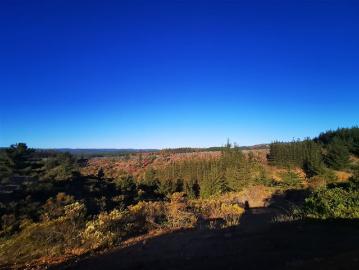 Sitio en Venta en Pichilemu sector Lo Gallardo/ Ciruelos 15 min del centro