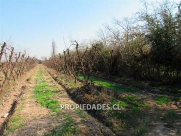 Sitio o Terreno en Venta en Calera De Tango