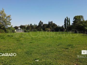Sitio o Terreno en Venta en Chillán