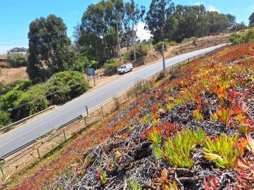 Sitio o Terreno en Venta en Algarrobo