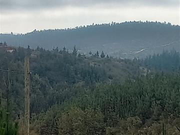 Sitio o Terreno en Venta en Hualane