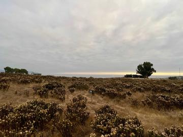 Sitio o Terreno en Venta en La Ligua
