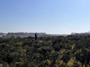 Sitio o Terreno en Venta en La Ligua