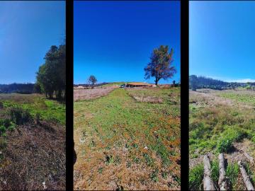 Sitio o Terreno en Venta en Santa Juana