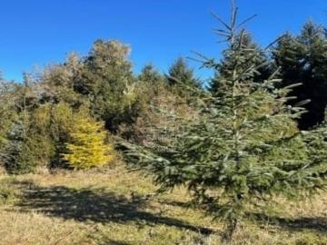 Sitio o Terreno en Venta en Puerto Montt