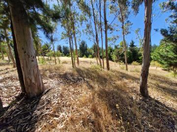 Sitio o Terreno en Venta en Quillón