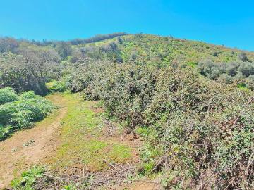 Sitio o Terreno en Venta en Quillota