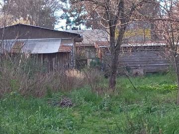 Sitio o Terreno en Venta en Río Bueno 7 dormitorios