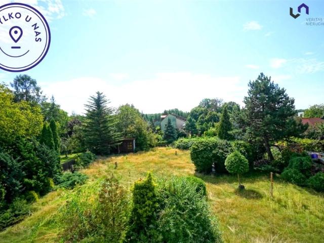 Sołtysia 1 723 m², Katowice