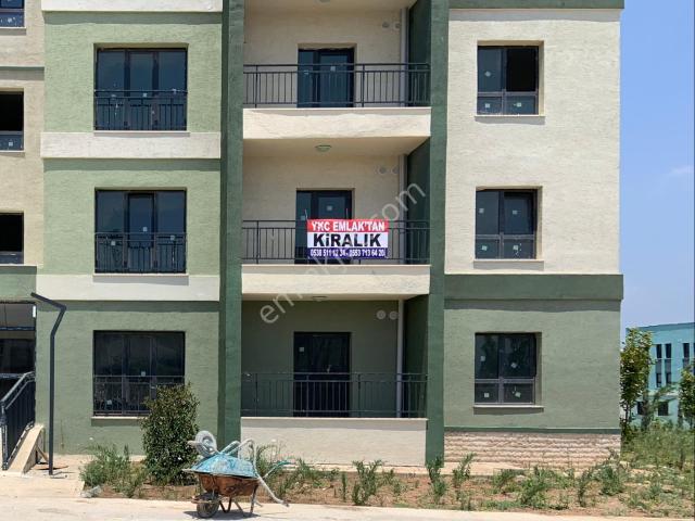 Söğütlü Toki 2+1 Kiralık Doğalgazlı Daire