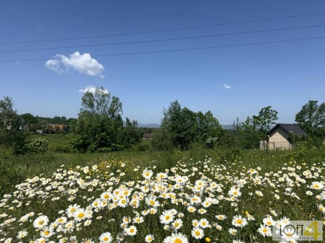 Sołecka 970 m², Nowy Sącz