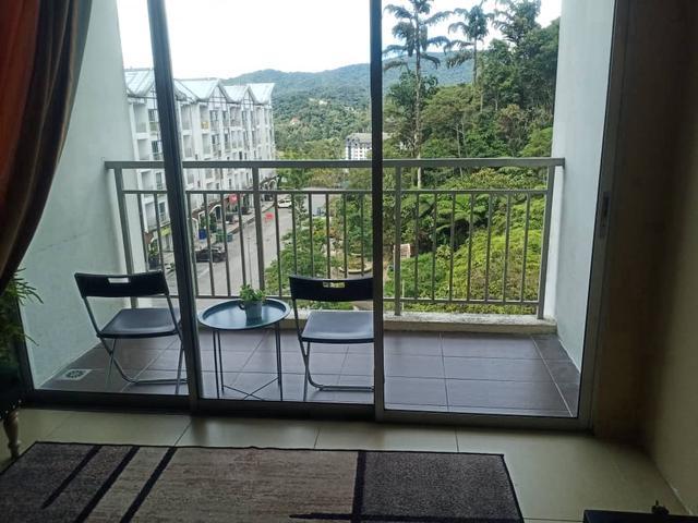 Somersquare 2Golden Hills Cameron Highland