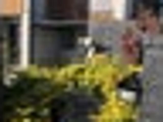 Somerville, 1 bedroom, $500 pw