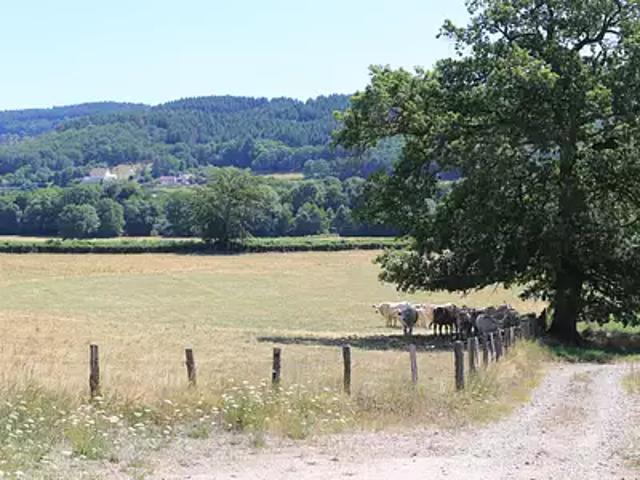 Sommant 71540 Achat / Vente terrain
