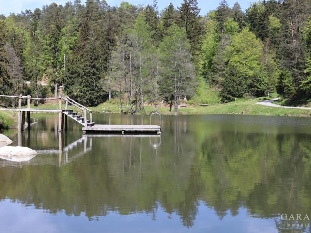 Sommerfeeling am See