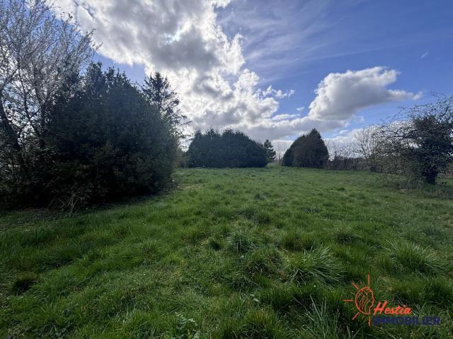 Sommesous Vente Terrain 51