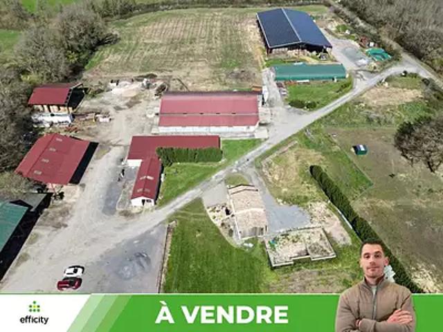 Sommières du Clain 86160 Achat / Vente maison 10 pièces t10 jardin cave