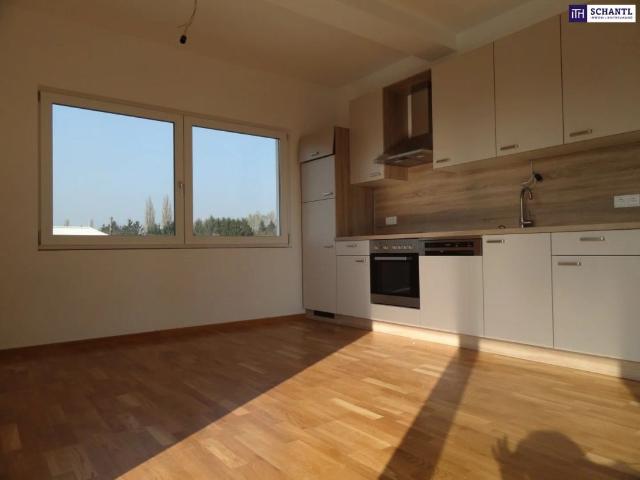 Ihr Platz an der Sonne: Traumwohnung mit ca. 60 m² in Graz Liebenau mit Balkon, Carport & Wohlfühlgarantie – jetzt besichtigen & begeistern lassen