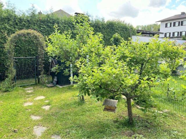 SONNE RUHE NATUR moderne 3ZI in Top Lage mit Terrasse und Garten, Carport & Parkplatz