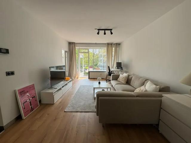 Sonneveld 29