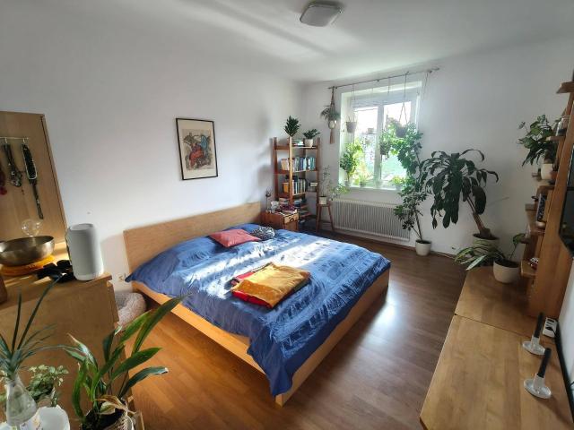 Sonnige, ruhige Wohnung in Garsten