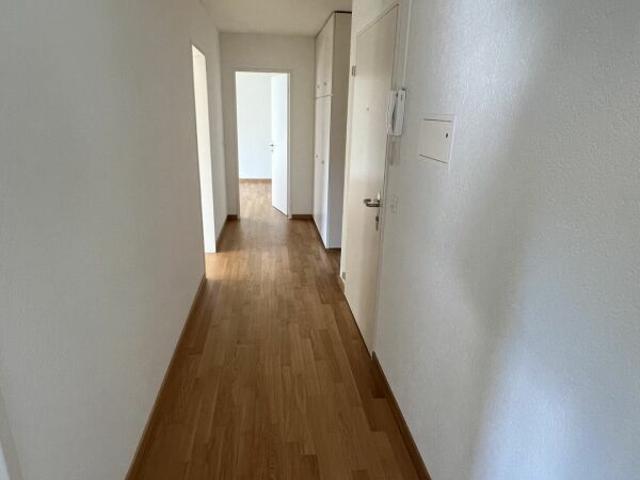 Sonnige Wohnung mitten in Ebikon