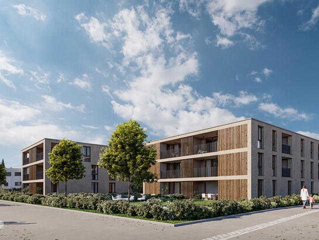 Sonnige 3 Zimmer Wohnung mit Südterrasse Top B05