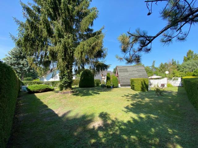 Sonniges Baugrundstück in gefragter Lage am Berliner Stadtrand für Ihr neues Zuhause