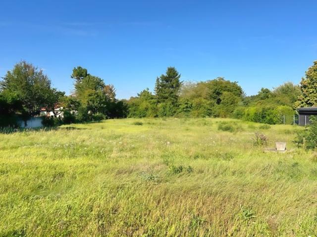 Sonniges Baugrundstück in Wolfpassing 2.102m² für 989.000 € – Ihr Platz zum Leben! AUCH FÜR BAUTRÄGER INTERESSANT!