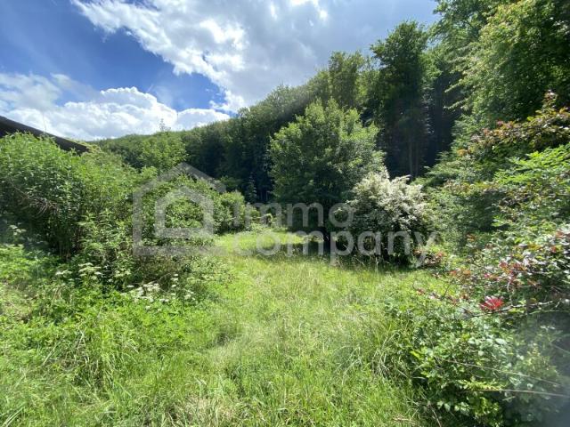 Sonniges Grundstück mit Teilungsoption und Altbestand in Weidlingbach