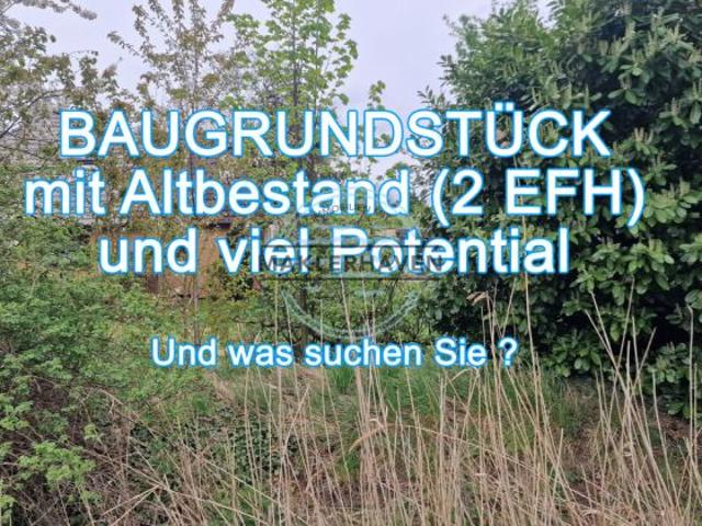 Sonniges Juwel für kühle Rechner: attraktives Baugrundstück mit Altbestand EFH + Bungalow