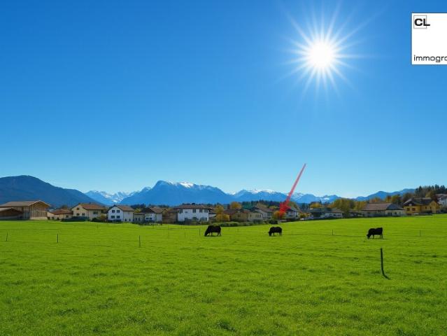 Sonniger, voll erschlossener Baugrund in Seekirchen – auch für Bauträger geeignet!