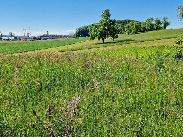 Sonniger Baugrund am Grünland, 30 km nördlich von Salzburg