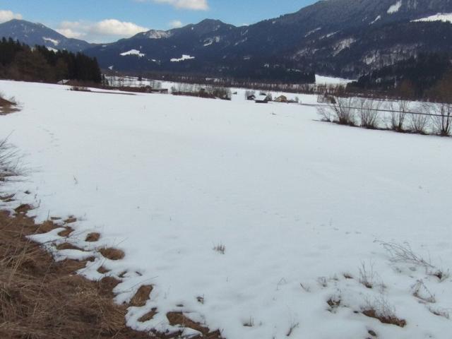 Neuer Preis. Sonniger Baugrund mit Ausblick