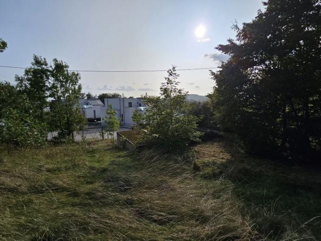Sonniger Premium Baugrund am Pöstlingberg mit Donaublick